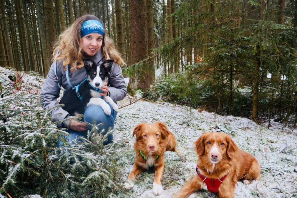 Eine Frau hat einen schwarz weißen Welpen am Schoß und zwei orange Hunde liegen neben ihr.