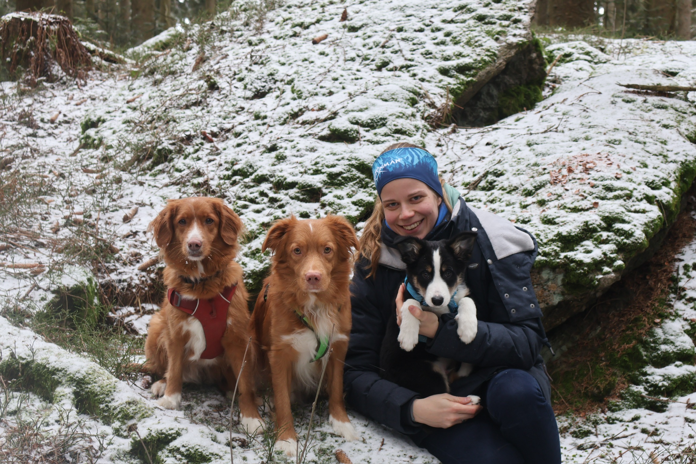Frau sitzt mit drei Hunden auf dem Boden im Wald und hält einen Hund am Schoß.
