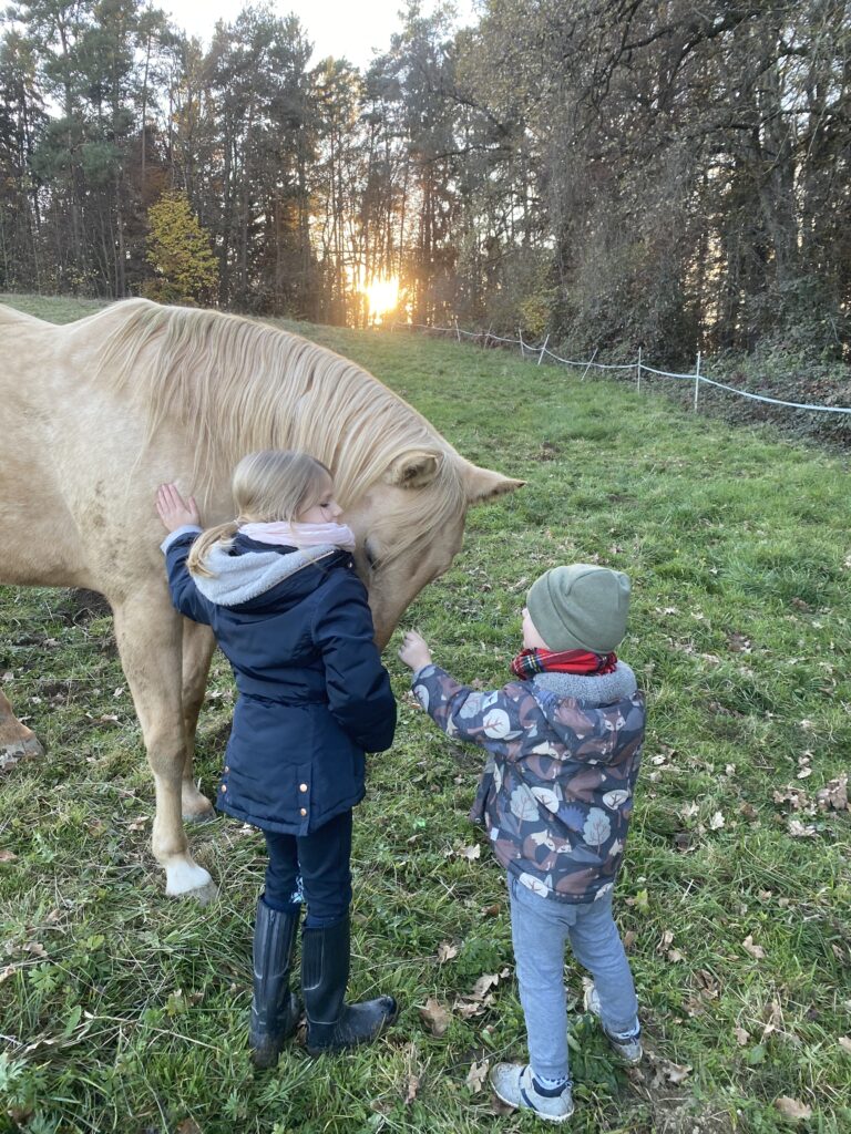 Ein Mädchen und ein Junge streicheln ein Pferd vor einem Sonnenuntergang am Waldrand.