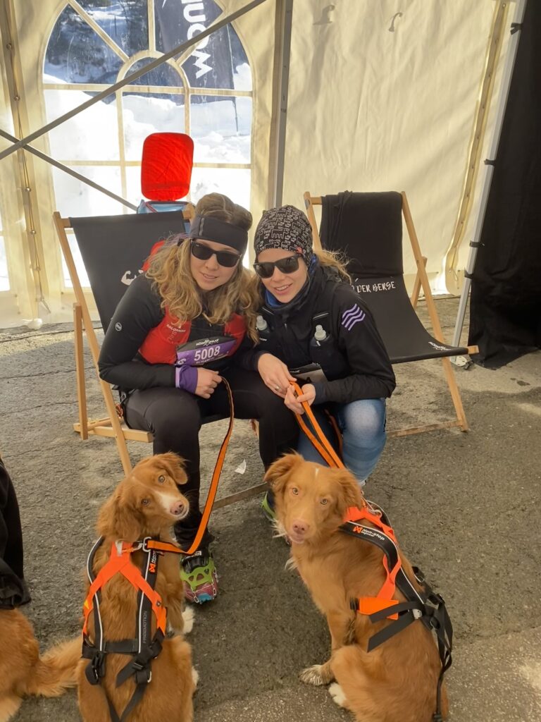 Zwei Frauen im Sportgewand sitzen vor zwei Hunden in einem Zuggeschirr.