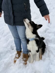 UO Grundstellung – Schönes Sitzen an der Seite