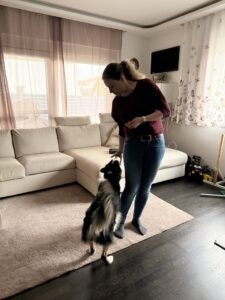 UO Die Kehrtwendung – Gemeinsam 180° Umdrehen