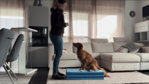 TR Sitztarget – Gesund & praktisch